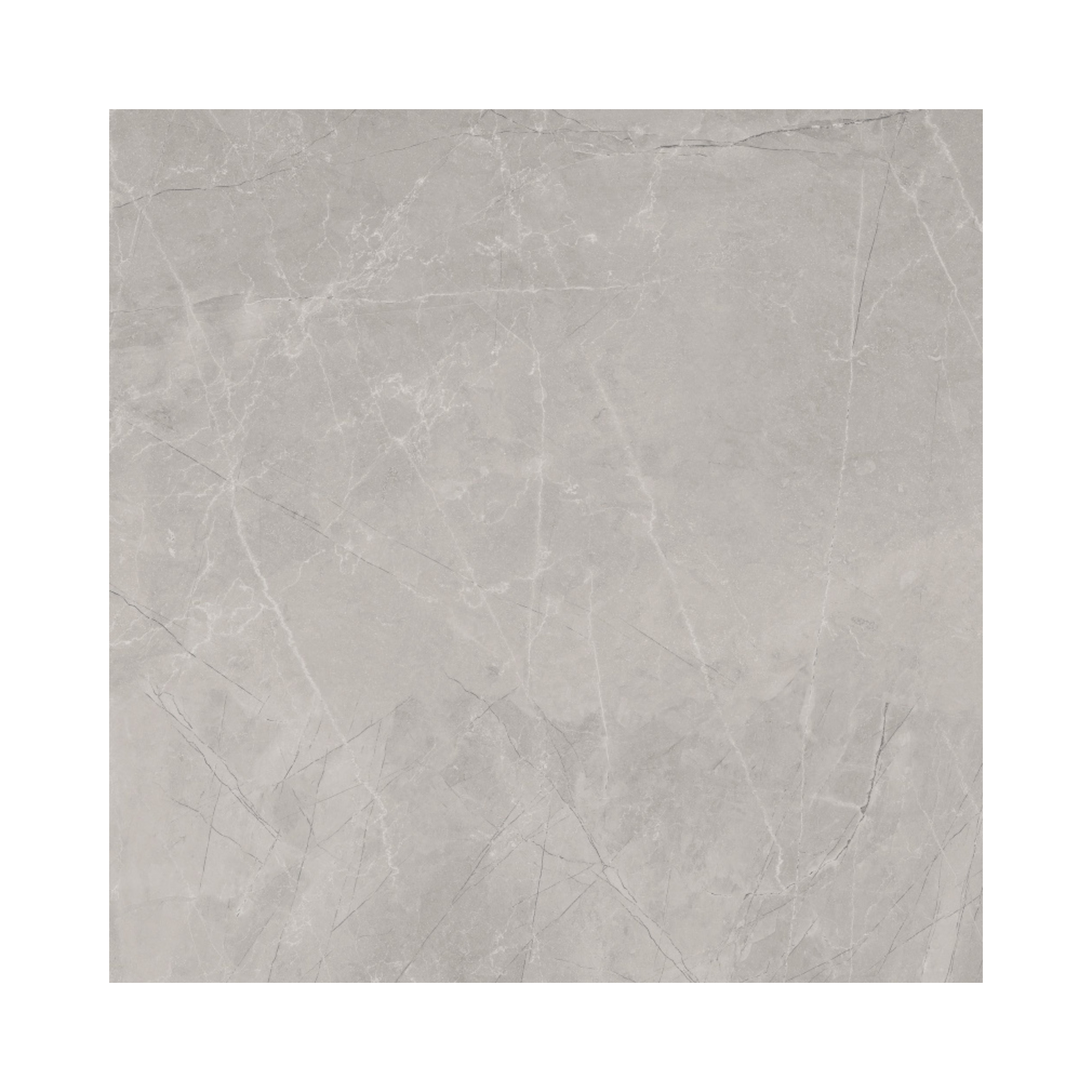 Carrelage Marbre Bayona Silver - 120x120 Natural