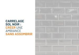carrelage noir sol