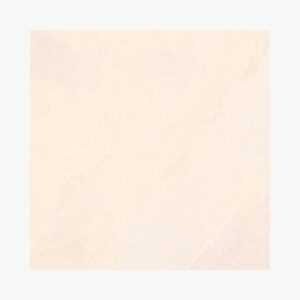 Stone Bone 60x60